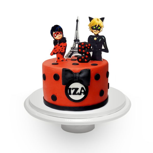 Tort numer 116 - Biedronka i Kot w Paryżu :)
